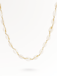 Kauri Muschel Choker Halskette