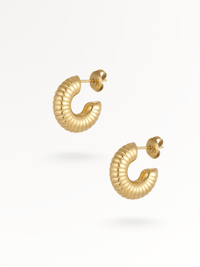 SHELL | Edelstahl Ohrringe 14K vergoldet